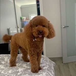 Meet your Posher, Sarah